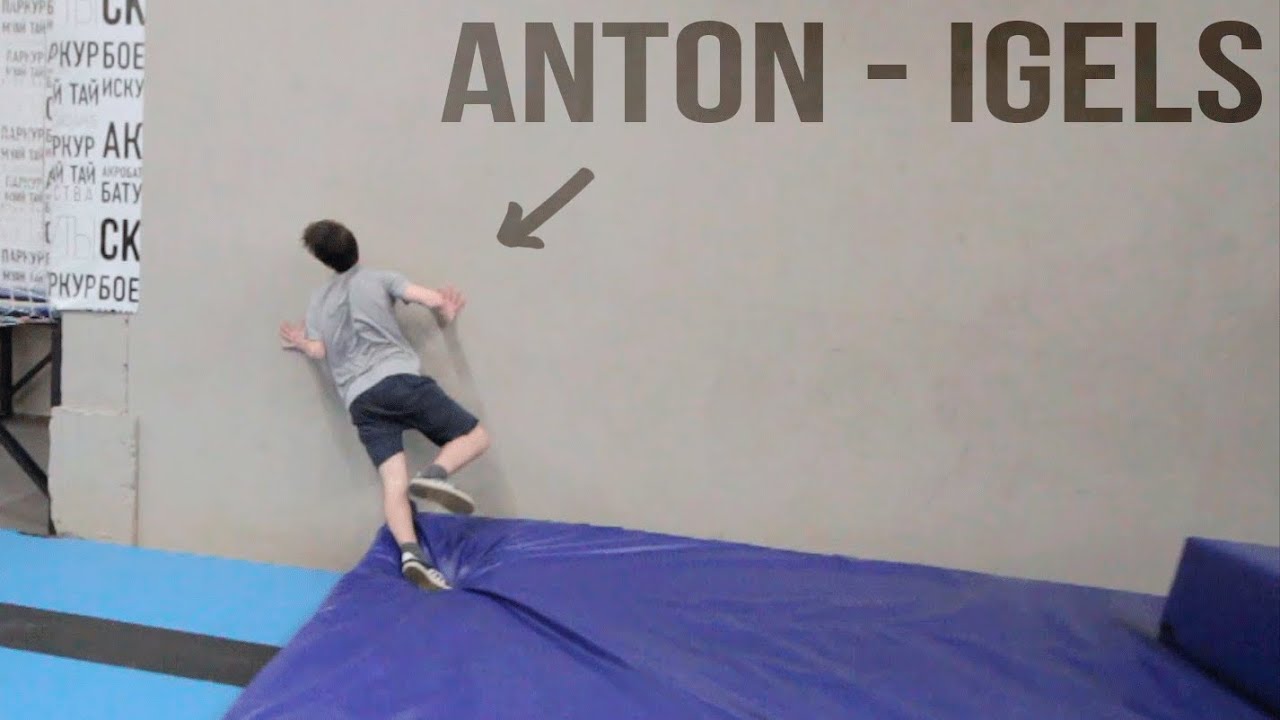 Anton - igels