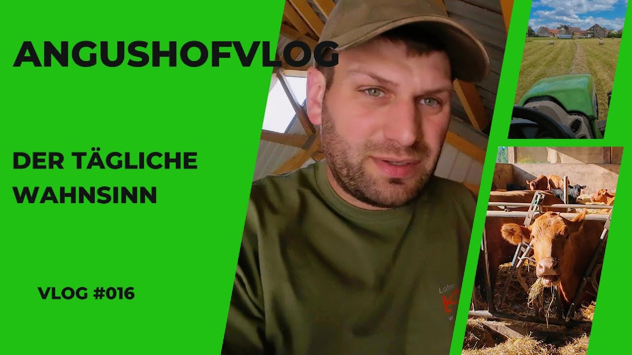 AngushofVlog #016: DER TÄGLICHE WAHNSINN.