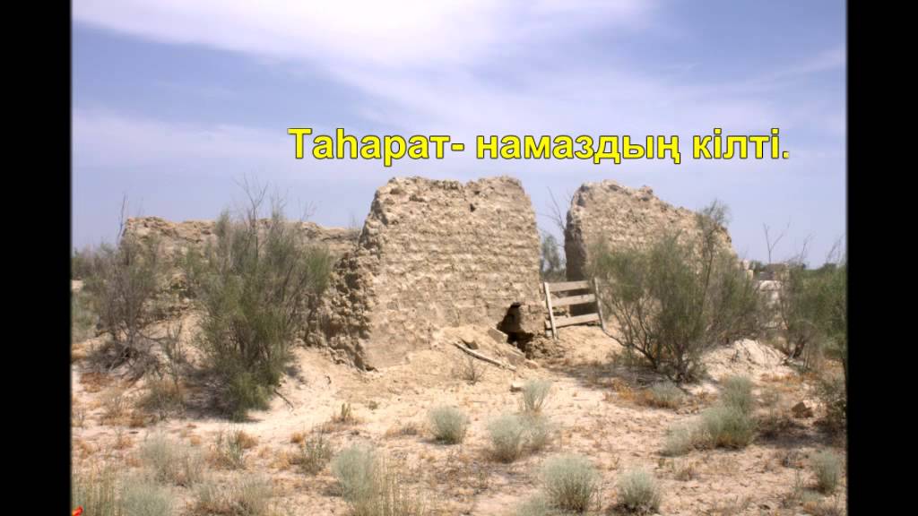 марал ишан 2014ж