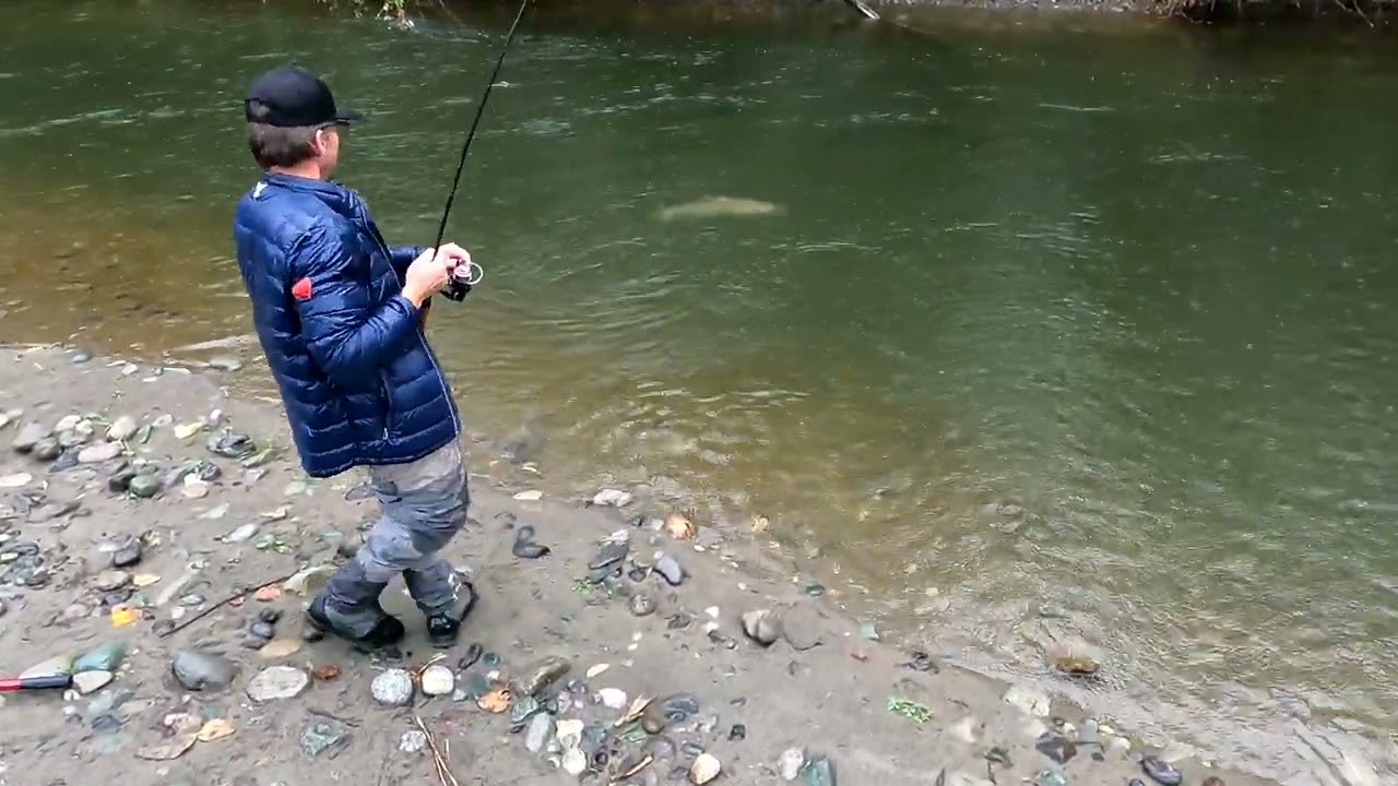 How To Land Chinook Salmon Without A Net