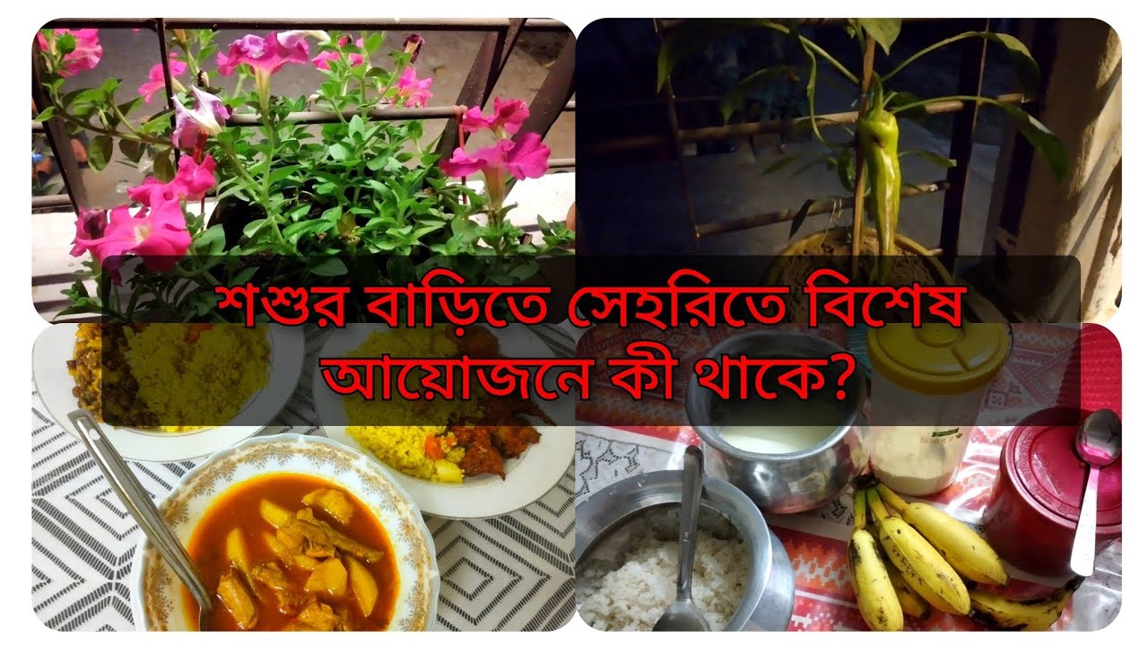 সেহরি থেকে শুরু করে ইফতার পর্যন্ত।আজ গাছে পানি দিলাম। #dailyvlog #সেহরি - ইফতার #gardening 