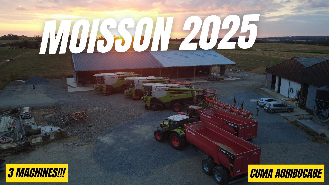 🚜 MOISSON 2025 : 3 Claas Lexion en action avec la CUMA AGRIBOCAGE !!!