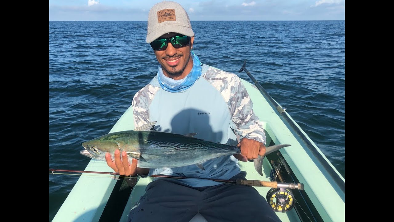 Bonito on the Fly