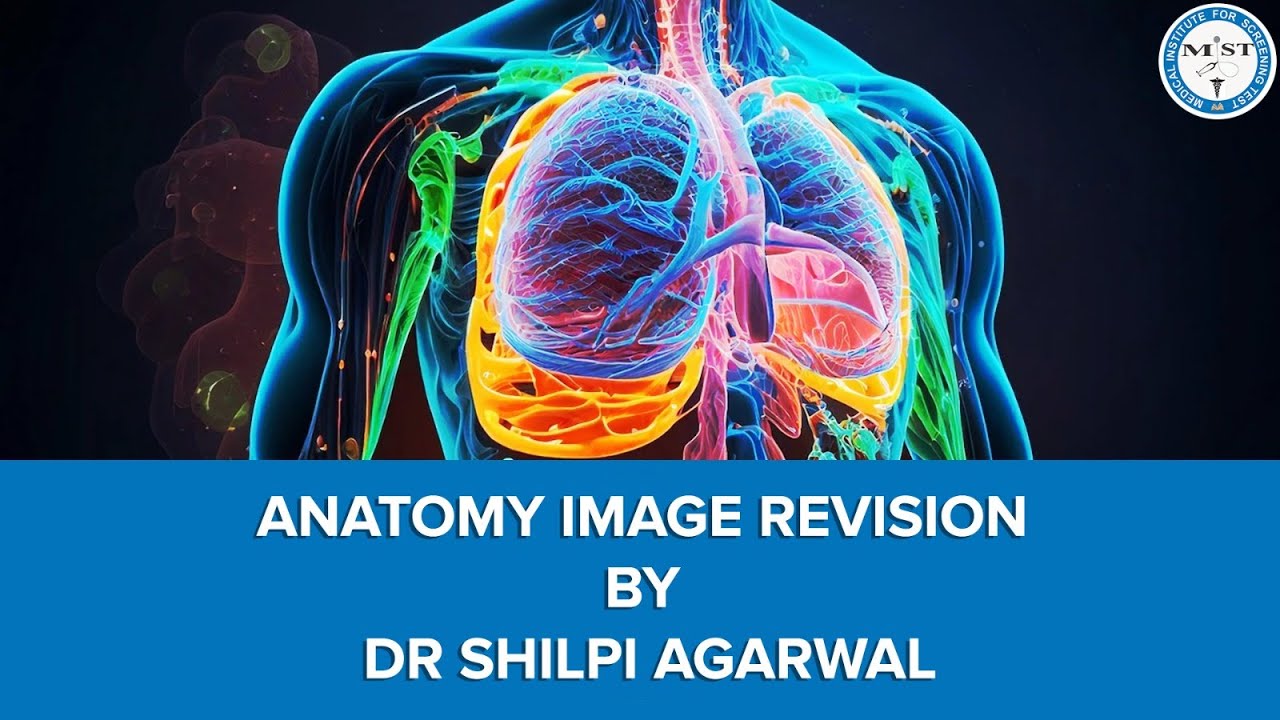 MIST, Anatomy Image Based Revision By Dr. Shilpi Agarwal