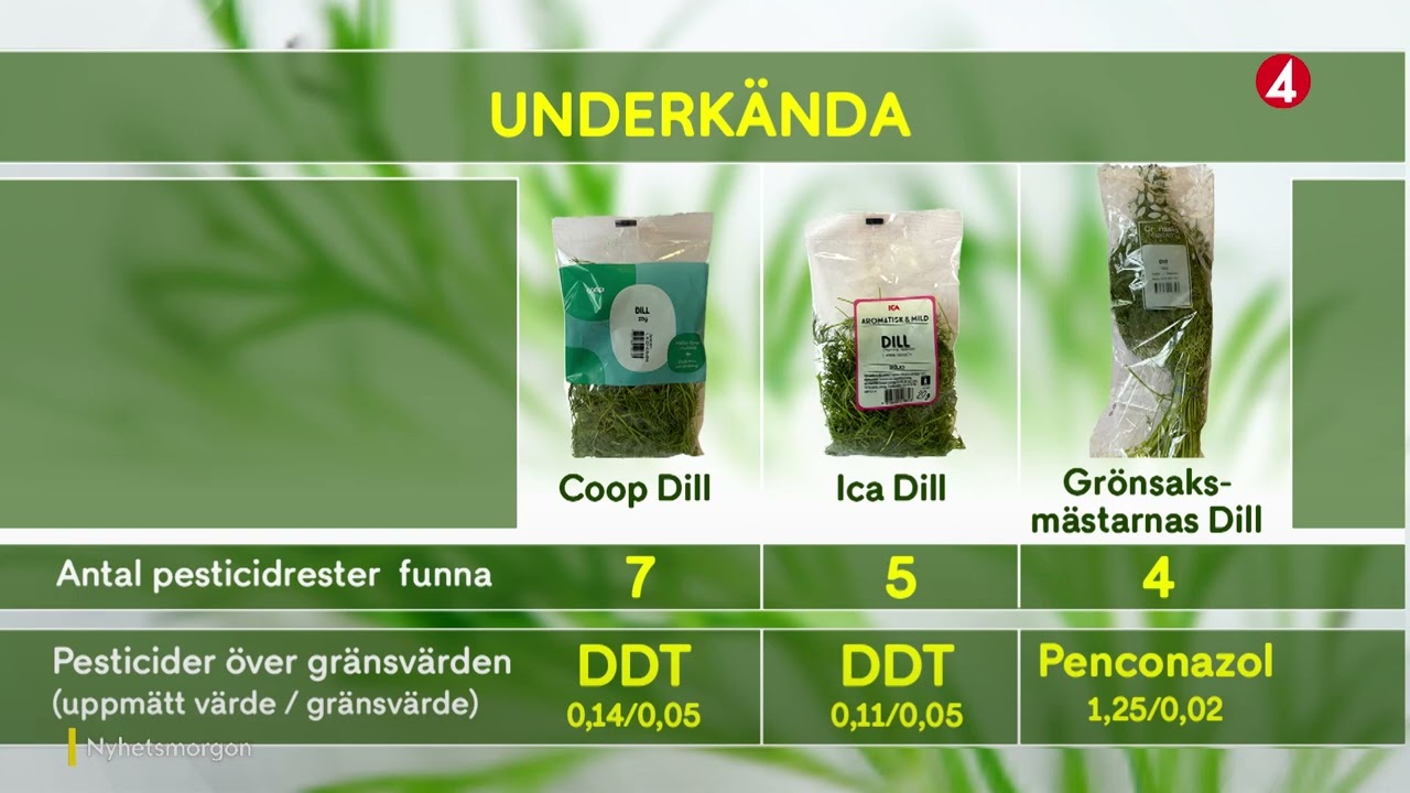 Test av &ouml;rter p&aring; TV4 Nyhetsmorgon