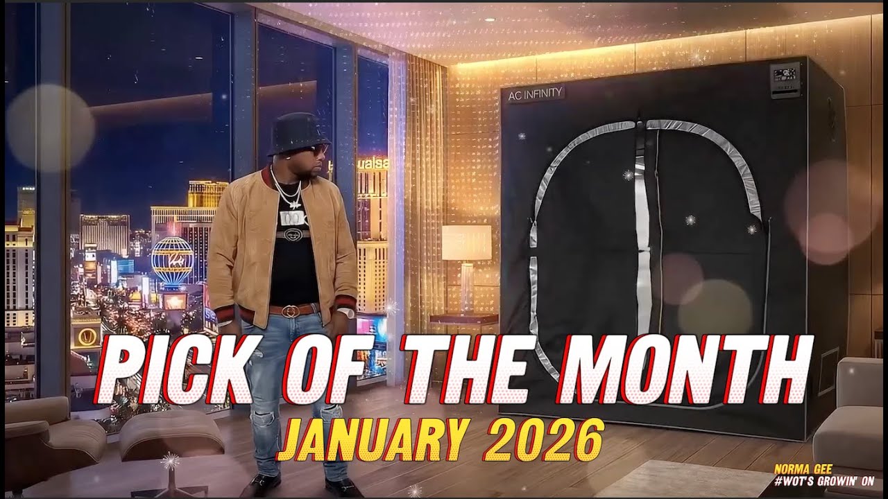 ​  ⁨Bassdropkeys | Wots growin on Pick of the month | JAN 2026