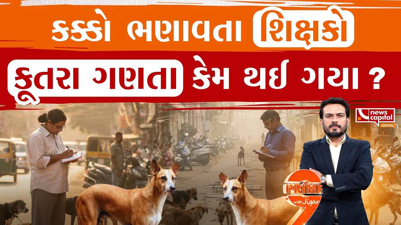 શિક્ષકોને શ્વાન ગણવાના પરિપત્ર મામલે શિક્ષણમંત્રીની સ્પષ્ટતા