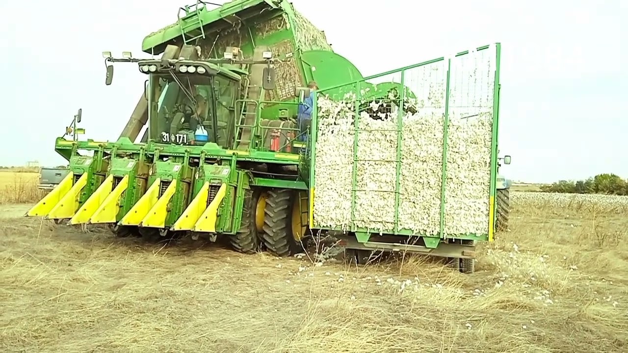 john Deere 7660 συλλογή βαμβακιού Καστανιές Έβρου 15.10.2023