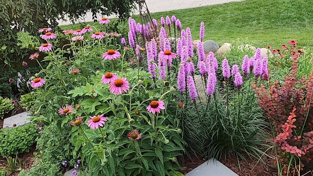Mid-July Garden Tour and Walkabout🌿🏡🌿// Suburban Oasis July 2021
