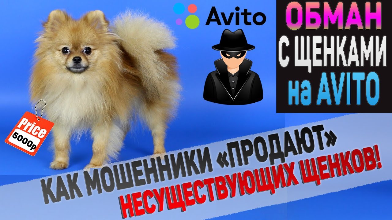 Обман на АВИТО! Как мошенники 