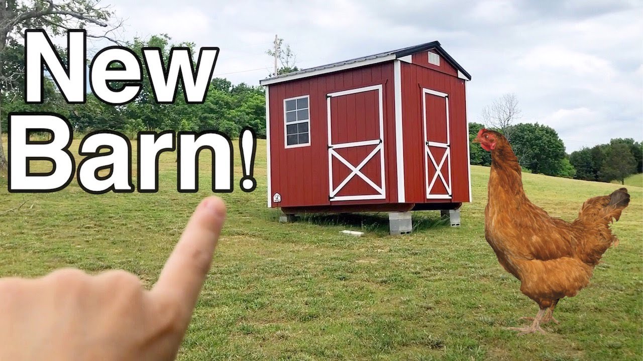 New Chicken Coop Barn Tour