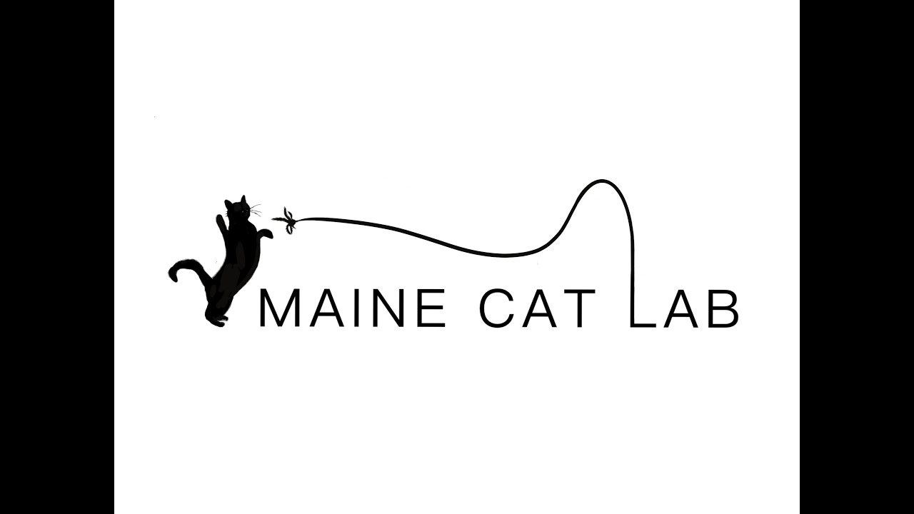Calling All Cats! The First Cat Psychobiography