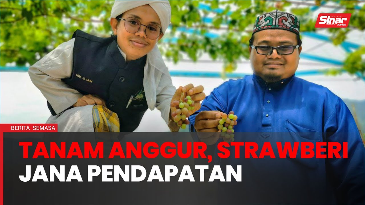 Pusat tahfiz tanam anggur, strawberi jana pendapatan