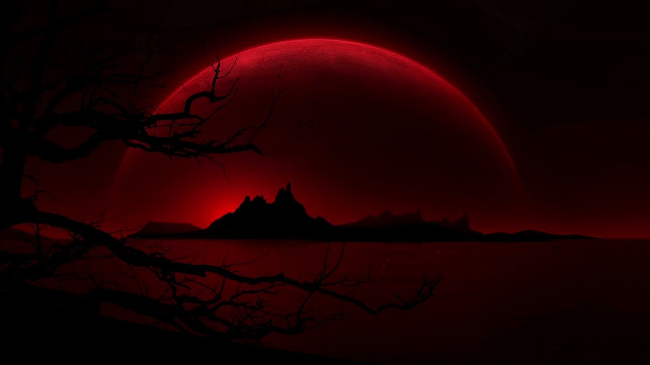 Sinead O'Connor - Drink Before The War (Lyrics)