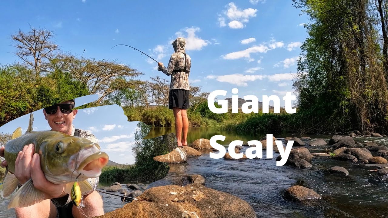 Catching a Giant scaly (kzn)