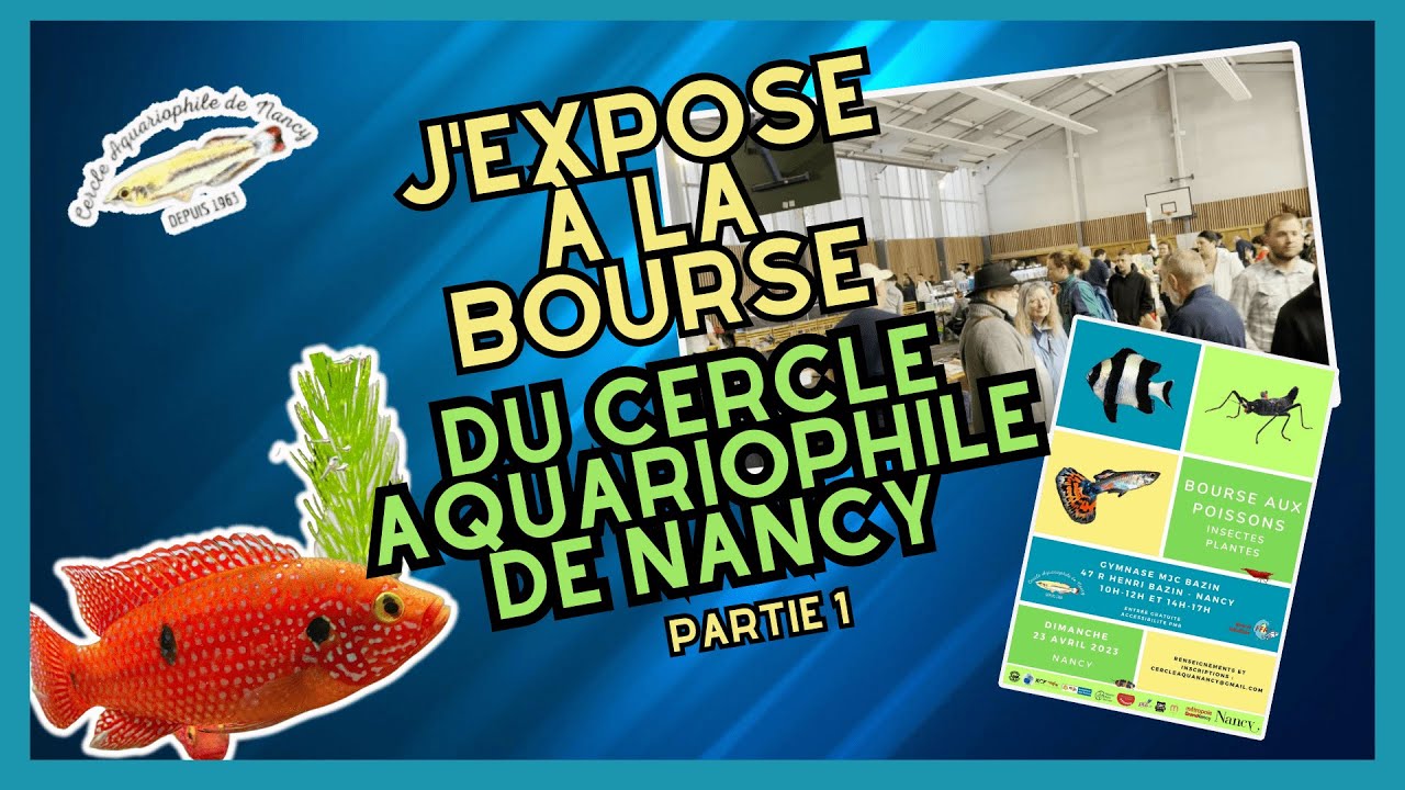 DES CENTAINES DE POISSONS ET INSECTES !!! - J'EXPOSE À LA BOURSE DU CERCLE AQUARIOPHILE DE NANCY #1