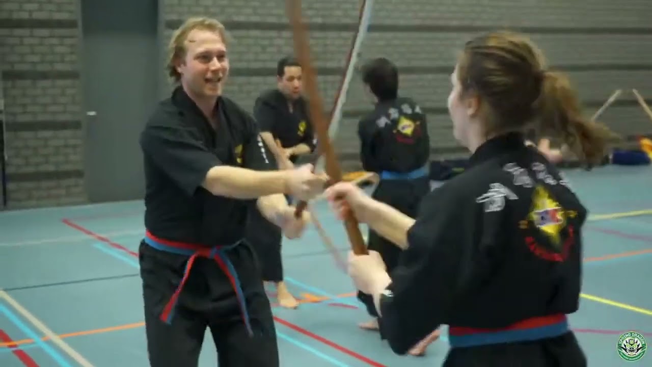Dutch Event 2018: Single sword skills with Grand Master Kim, Jeong Seong