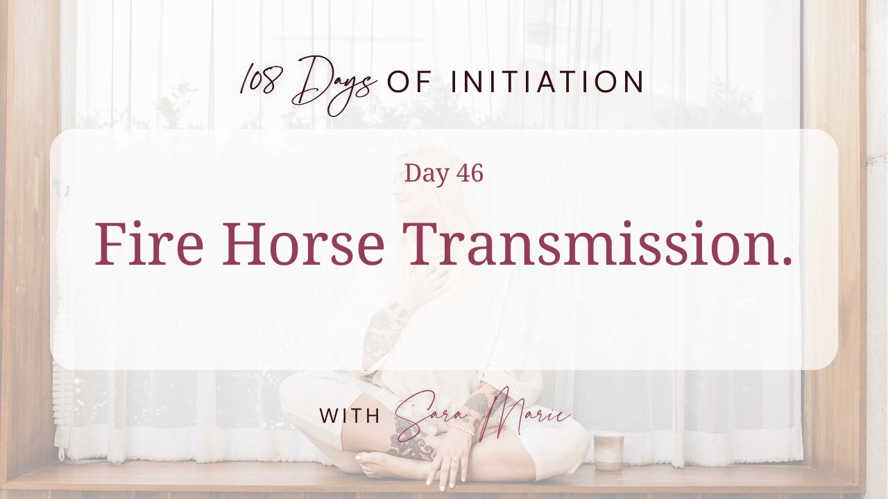 108 Days Of Initiation - Day 46 / Fire Horse Transmission.