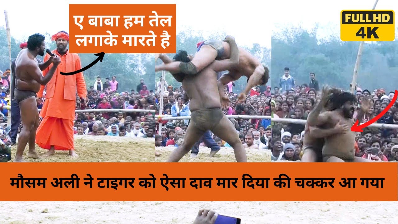 मौसम अली ने टाइगर को ऐसा दाव मर दिया की चक्कर आ गया | mosam ali vs tiger pahalwan | b tech computer