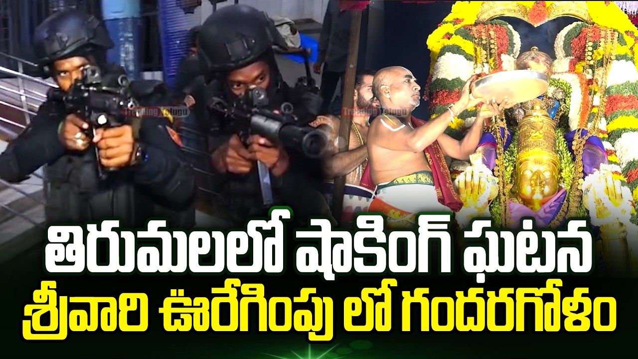 Tirumala Tirupati Latest Updates | Tirumala Tirupati Updates | TTD Updates | TTD | Trending Telugu