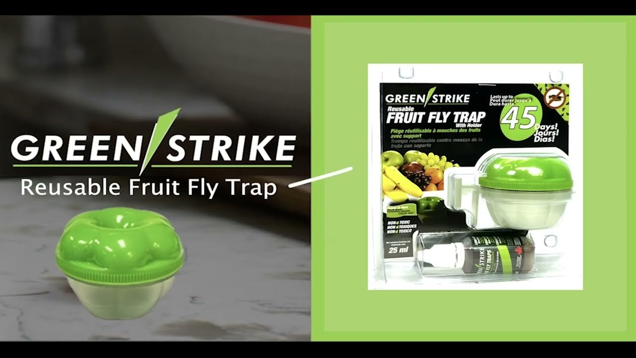 Green Strike Reusable Fruit Fly Trap