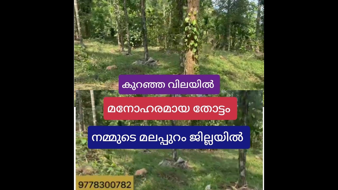 സെന്റിന് 20000 രൂപയ്ക്ക്.! മനോഹരമായ തോട്ടം വിൽപ്പനക്ക് മലപ്പുറം ജില്ലായിൽ.LAND FOR SALE IN MALAPURAM