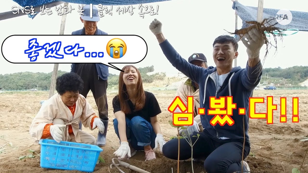 [북남북녀의 심마니 도전] 인삼 먹고 불끈 댄스~