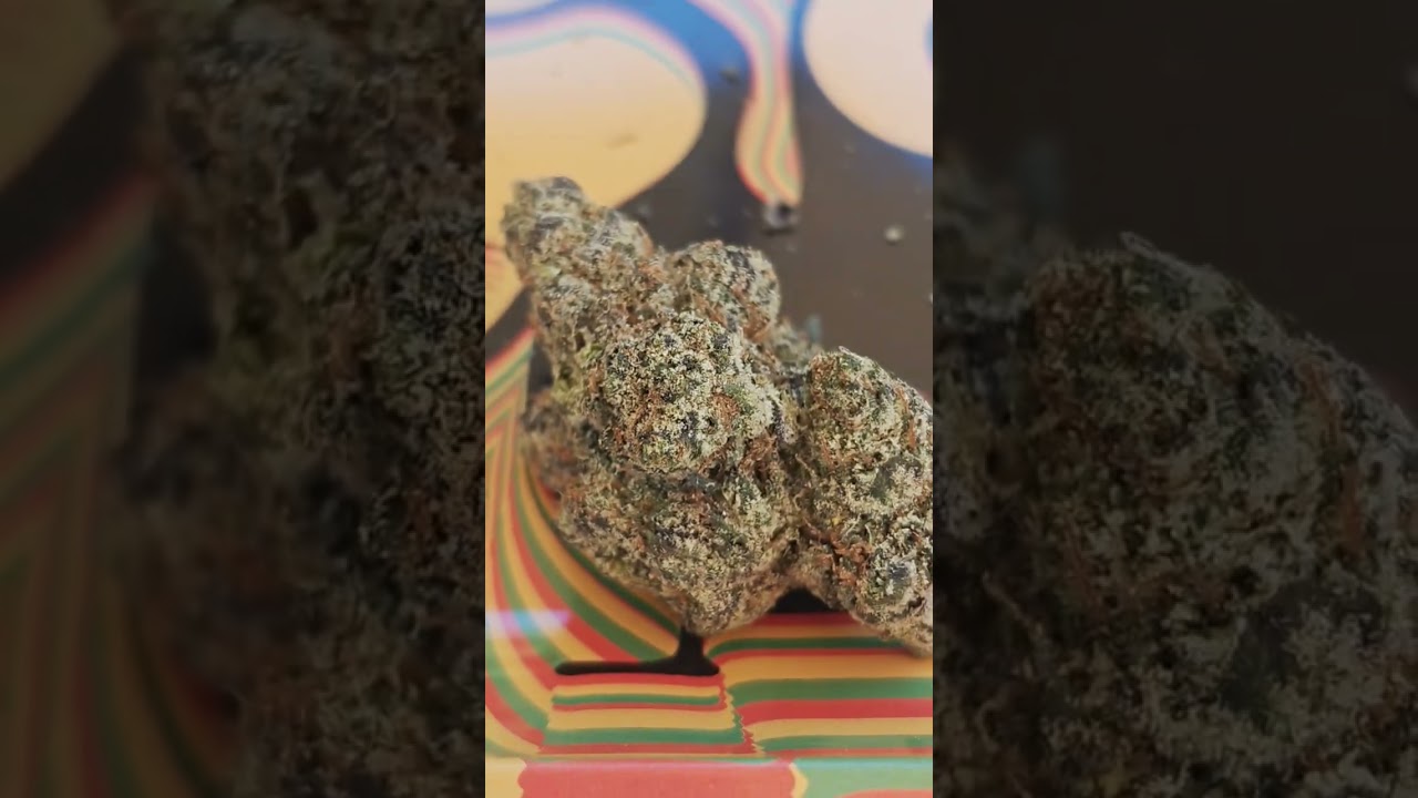 Candy Runtz from Lucky Elk is absolutely fire