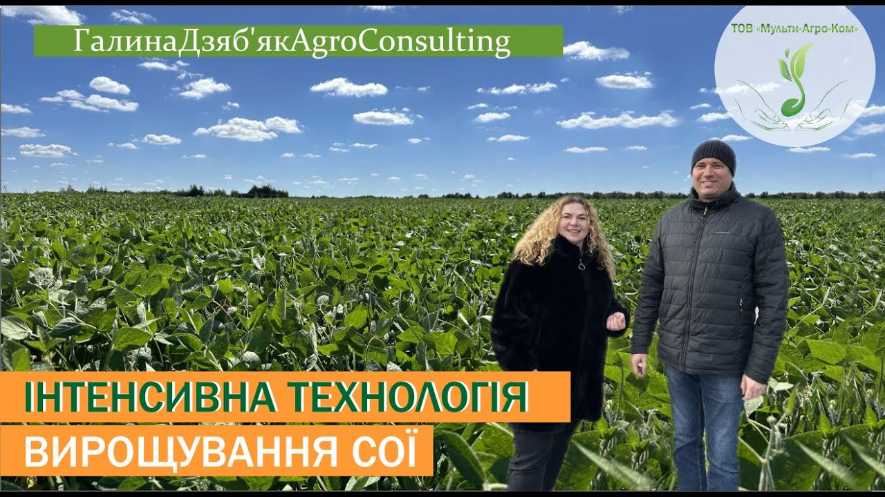 ЯРОСЛАВ БАЙ | Всі технологічні елементи вирощування СОЇ
