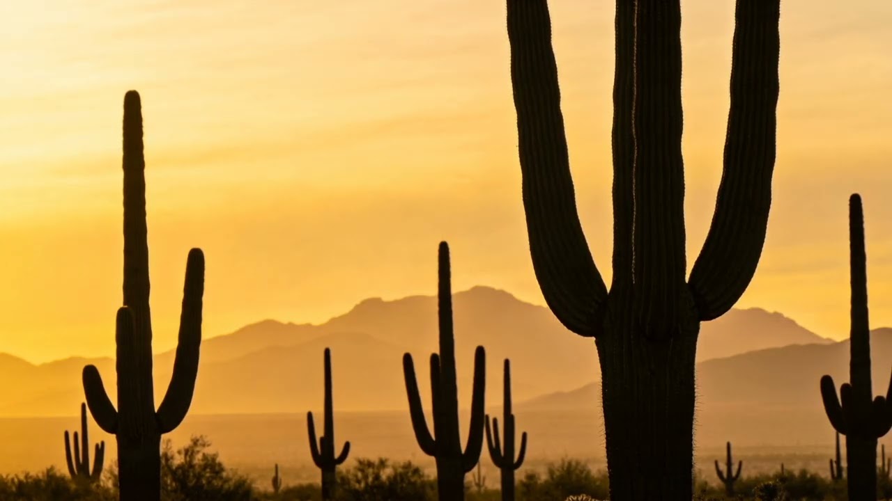 Desert Stillness 🌵 Calm Lo Fi Beats for Focus & Relaxation