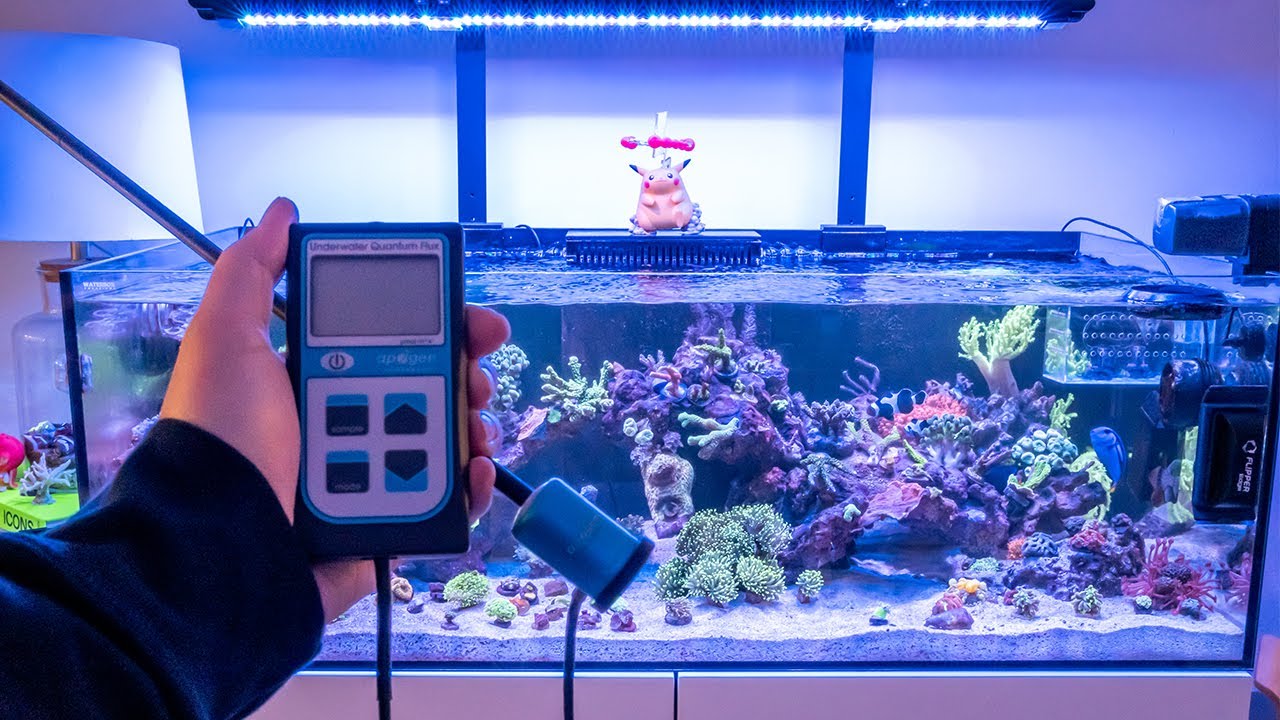 New Reef Tank Build - Par Meter Reading Illumagic X4!