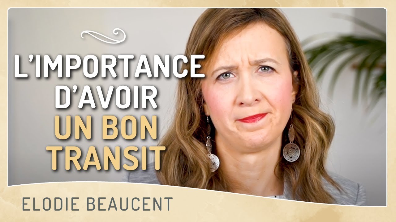L&rsquo;IMPORTANCE d&rsquo;avoir un bon transit