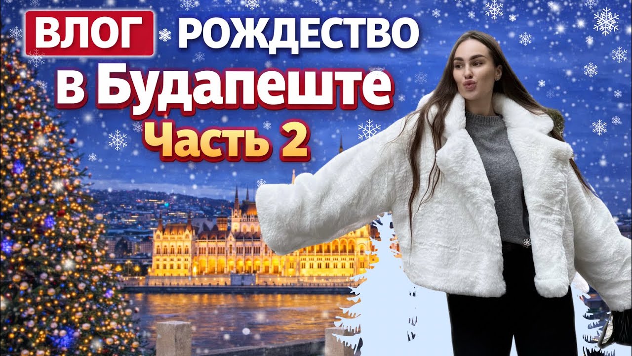 Мы не ожидали такого от Будапешта… | Часть 2