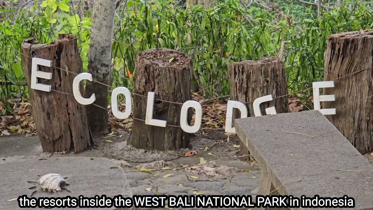 resorts inside the WEST BALI NATIONAL PARK like-plataran resort- eco lodge and octagon resort.