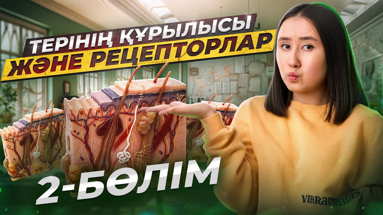Терінің құрылысы және рецепторлар 2-бөлім | ҰБТ Биология
