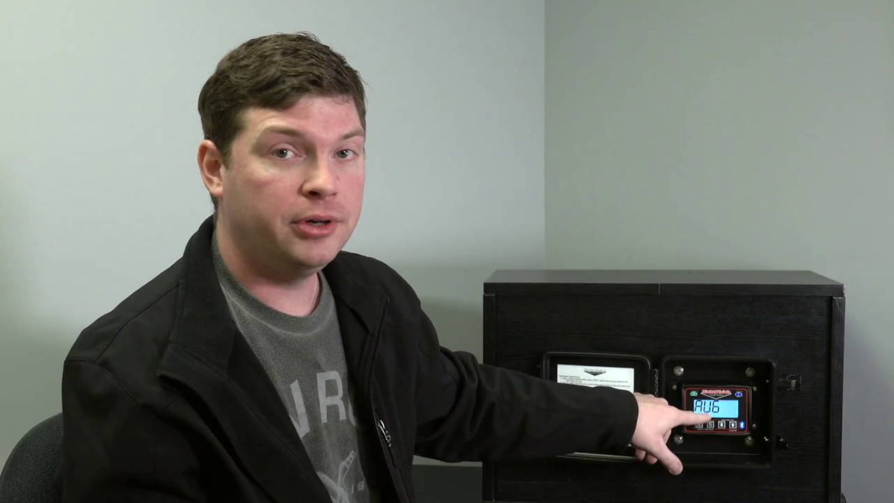Right Weigh Load Scales (Exterior Digital 201 Series): How to Enter Diagnostic Mode