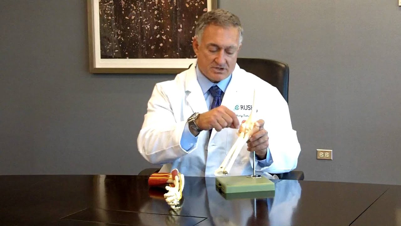 Операция на дистальном сухожилии двуглавой мышцы плеча