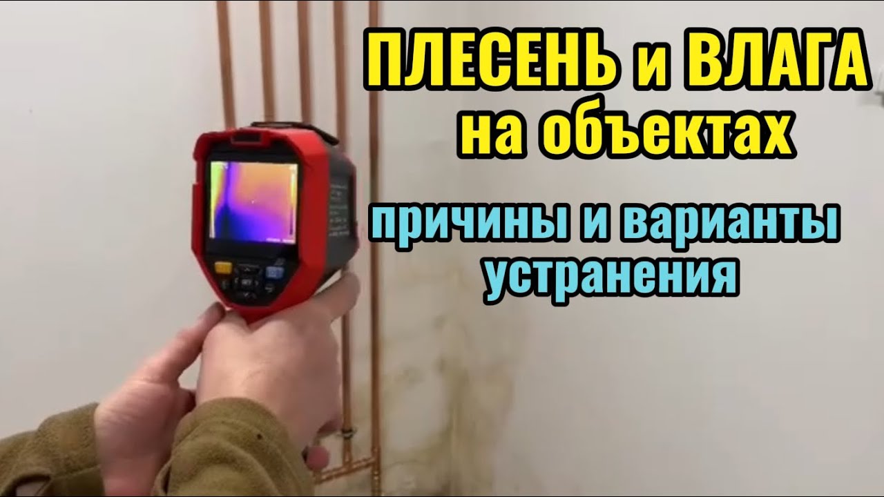 Плесень и влага на объектах. Причины и варианты устранения.