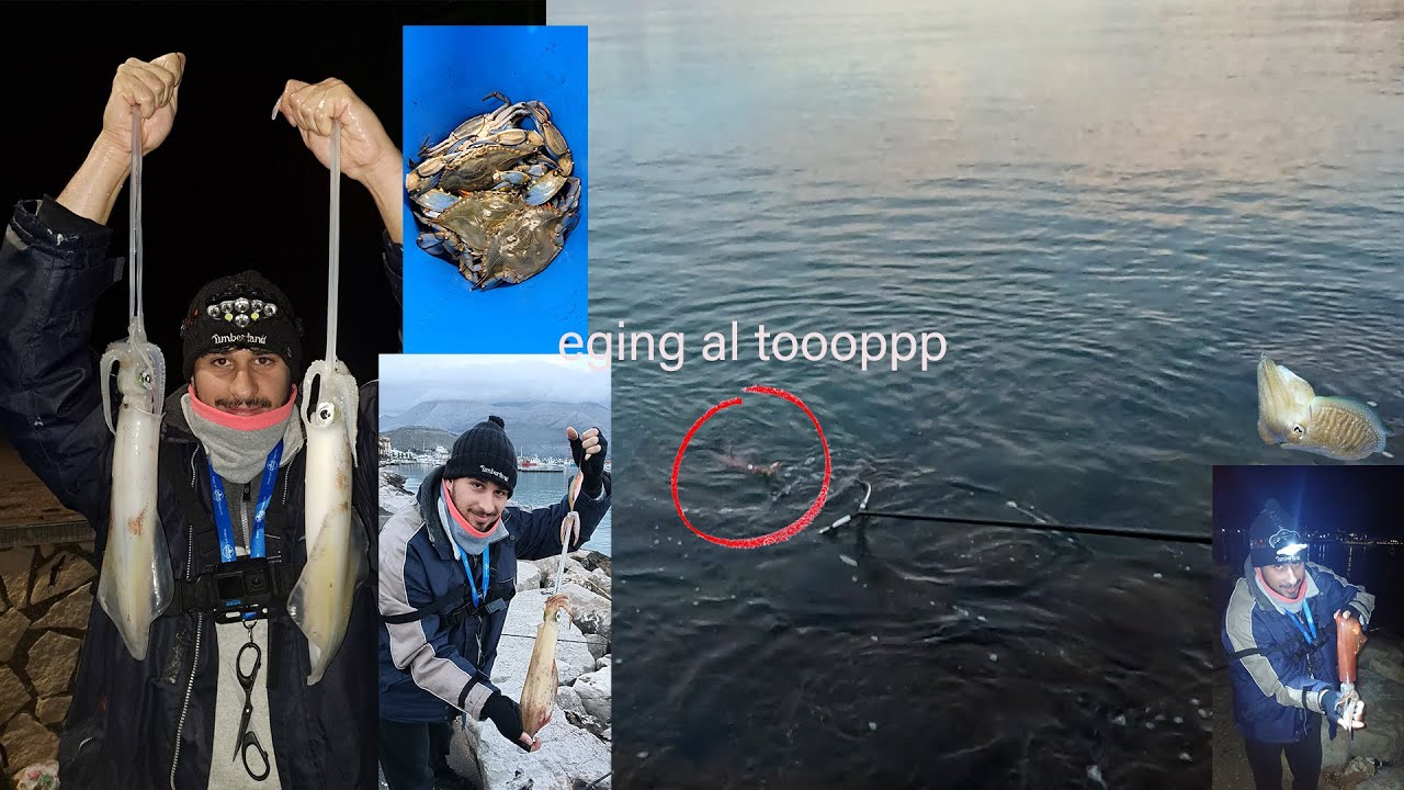 ultimi stagionali grossi! Calamari a eging e tantissimo divertimentooo