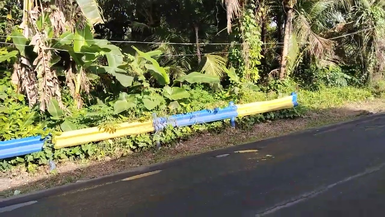 Property for Sale in Liliw, Laguna / 3,109 sq.m / Clean titled‼️