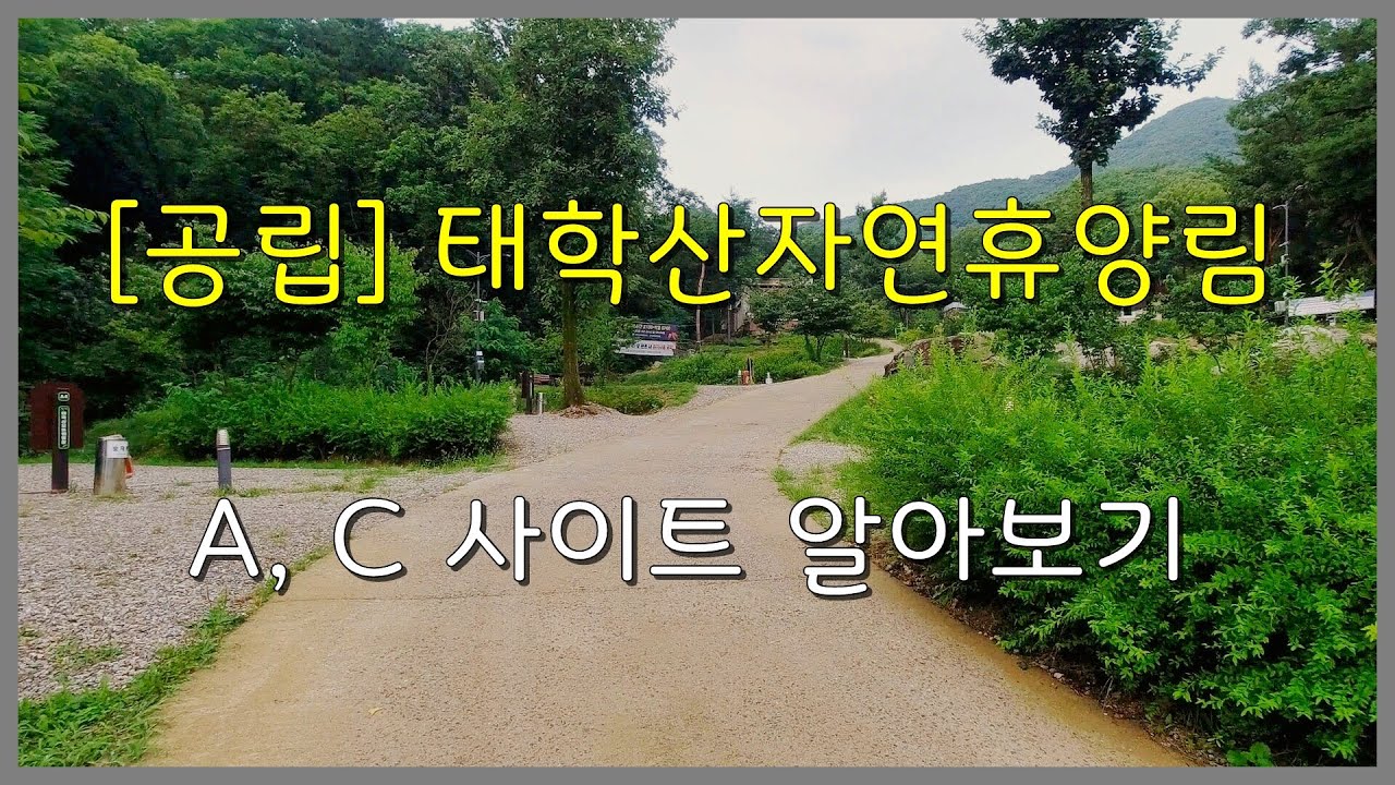 [공립] 태학산 자연휴양림  A, C캠핑장 사이트 알아보기( 천안 )