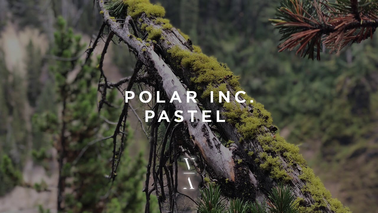 Polar Inc. - Pastel (Extended Mix)