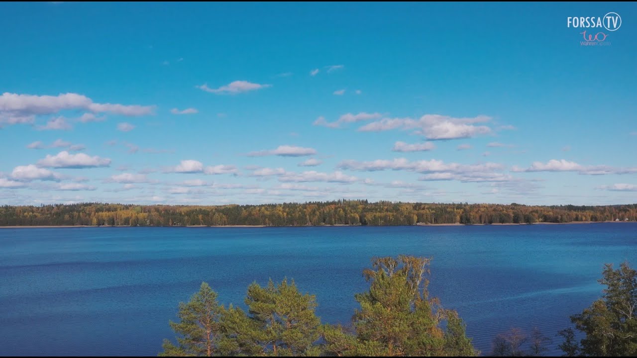 Saaren talkoot