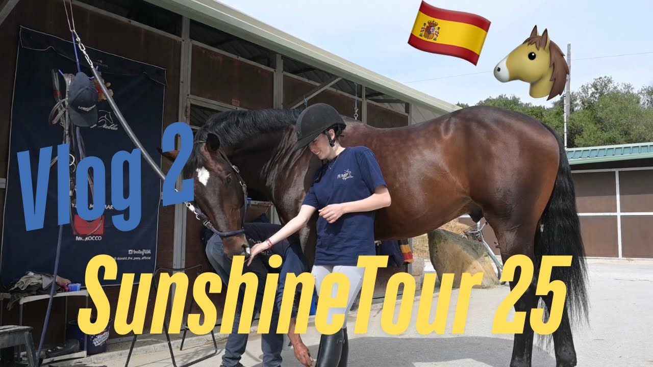 Vlog 2 Sunshine Tour au top