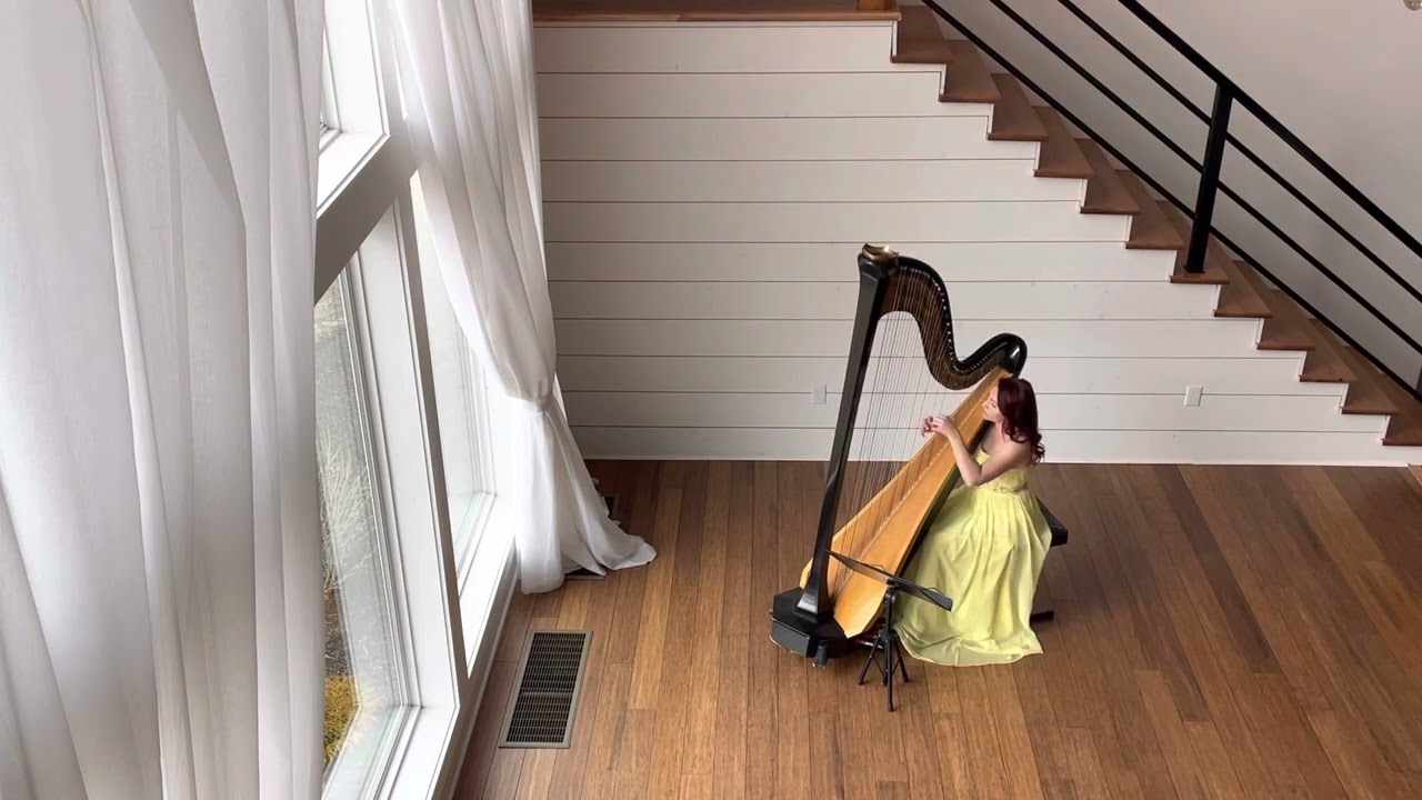 Love Theme from The Godfather (harp cover)
