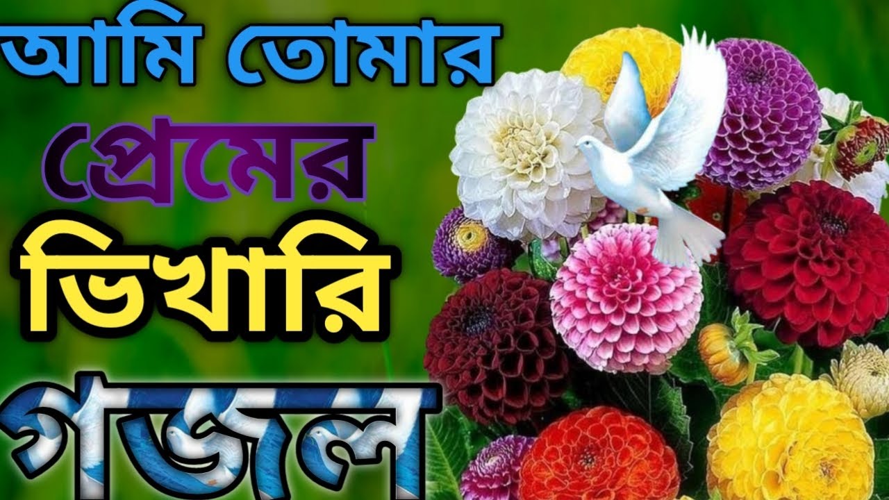 আমার তোমার প্রেমের ভিখারি আমি তোমার প্রেমের ভিখারী || খুবই মিষ্টি সুরের 