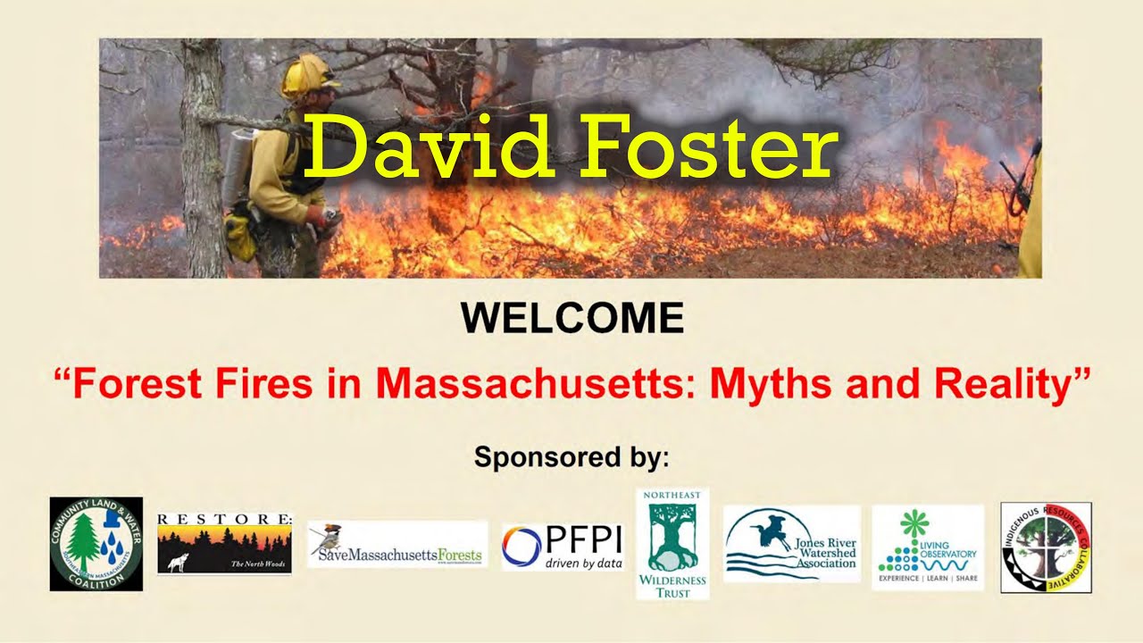 Oct. 4, 2025: Forest Fires: David Foster Presentation