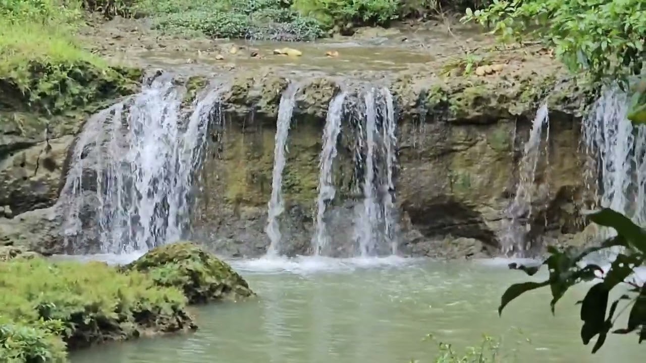 Dijual tanah kebun nempel Sungai Air Terjun legalitas SHM Harga udh turun dari 235 jt jadi 200 jt