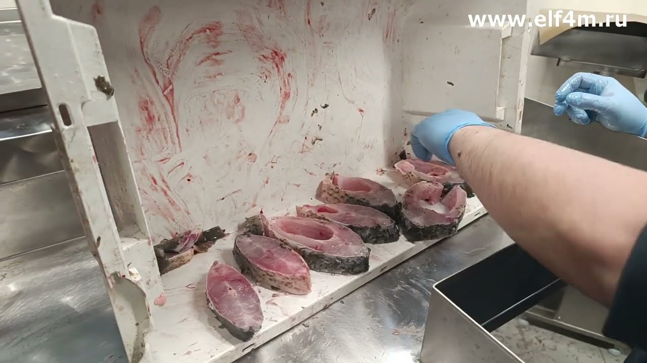 Устройство нарезки рыбы на стейки (для карпа и крупной рыбы) ИПКС-074-01-300ГФ(Н)