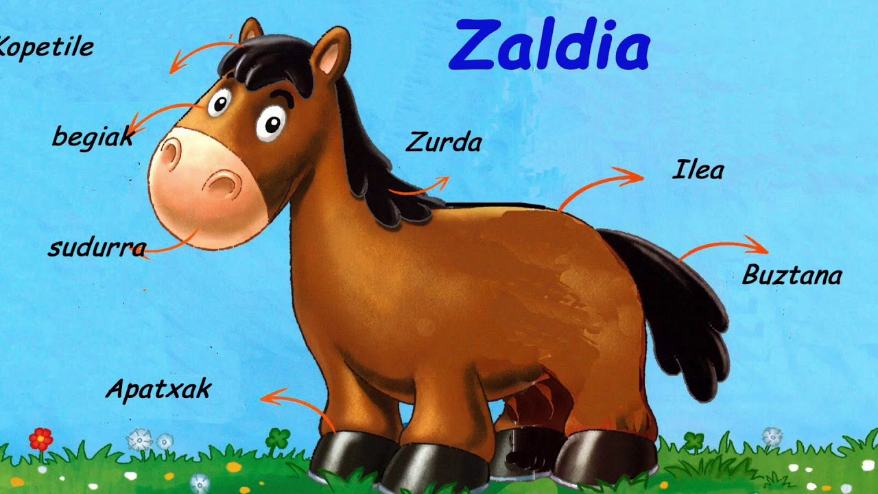 baratze birtual 5 zaldia